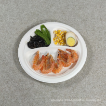 100%Biodegradable Disposable Bagasse Dinner Paper Plate